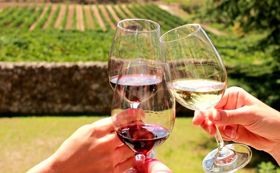WINE TASTING EXPERIENCE – CAMPANIA