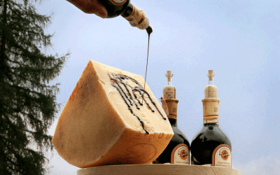 Accessible Balsamic Vinegar Tasting Experience